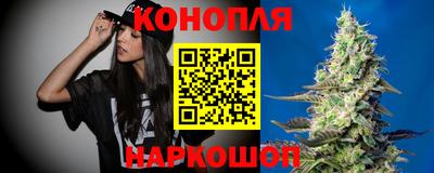 гашик Вязники