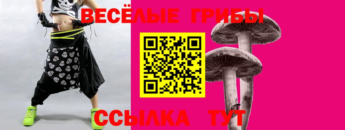 Галлюциногенные грибы прущие грибы Бугуруслан